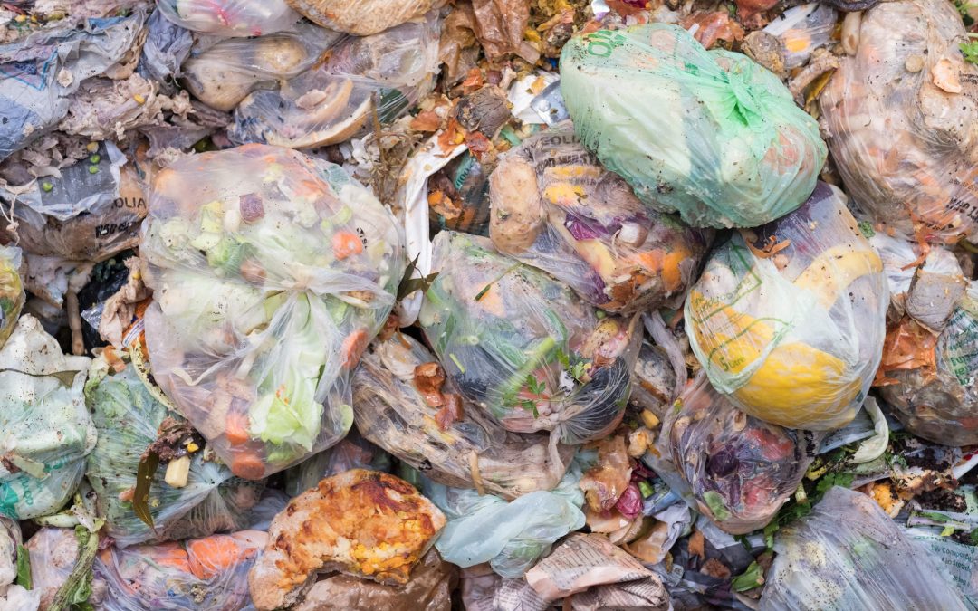 food waste ready for recycling in an anaerobic digestion facility